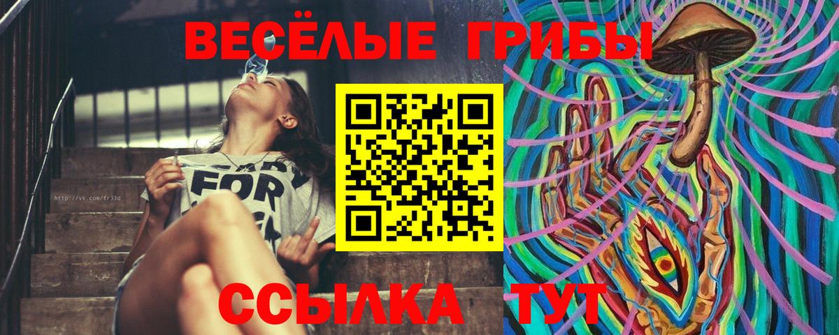 Псилоцибиновые грибы Magic Shrooms  Вход с VPN  Камышлов 